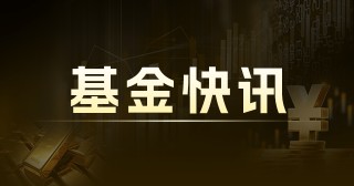 国投瑞银新增长混合 C：规模变动与收益  0.04 亿