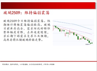 中天期货:原油回补缺口 棕榈继续下行