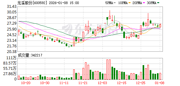 龙溪股份：聘任证券事务代表  第1张