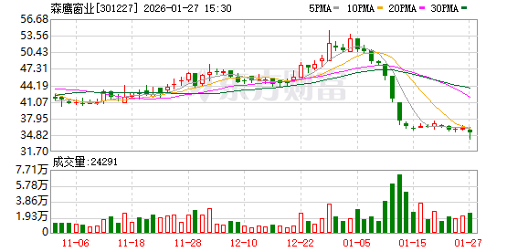产能利用率低 森鹰窗业预计2025年净利润亏损  第1张