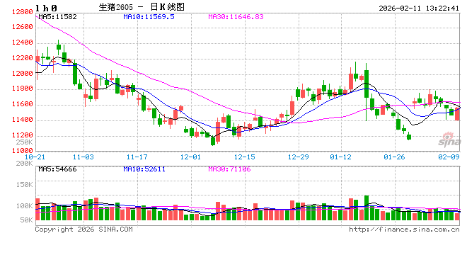 高瞻远“猪”：历年春节生猪屠宰量盘点 一季度后期行情如何波动  第2张