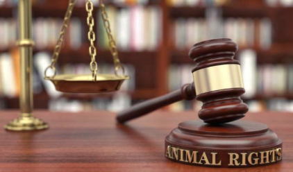 证监会一日下发6份罚单、4家被立案,4类隐匿伎俩踩入监管红线 第1张 证监会一日下发6份罚单、4家被立案,4类隐匿伎俩踩入监管红线 第1张