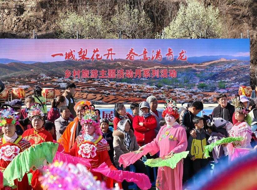 河北青龙:“花事”变“花市” 梨花盛景催生山乡产业新活力 第1张 河北青龙:“花事”变“花市” 梨花盛景催生山乡产业新活力 第1张